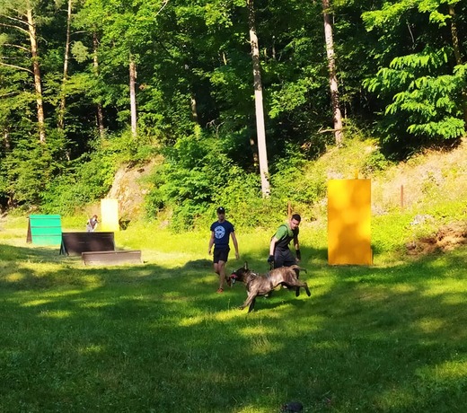 116019464_943485529397355_2530159416607420486_n.jpg