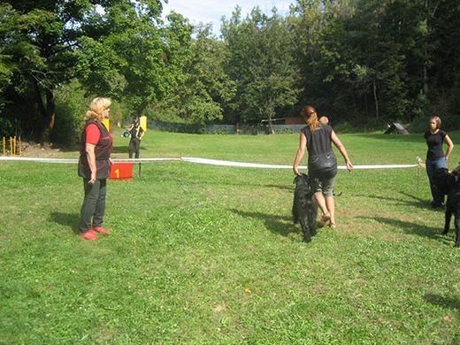 denknirace09-2020-2.jpg