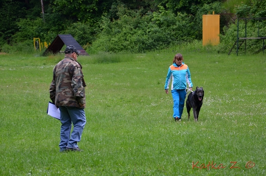 DSC_4210.JPG