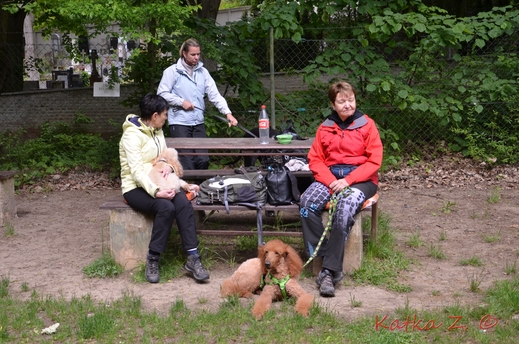 DSC_4219.JPG