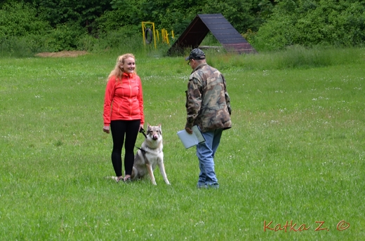 DSC_4235.JPG