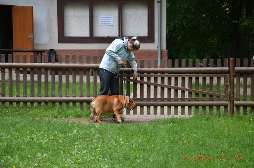 DSC_4255.JPG