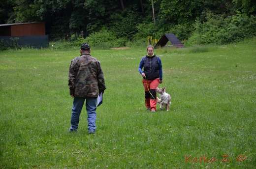 DSC_4278.JPG