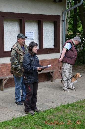 DSC_4336.JPG
