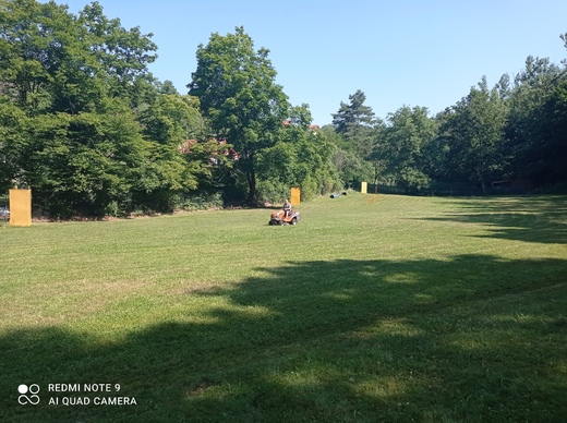 IMG_20210724_102246.jpg