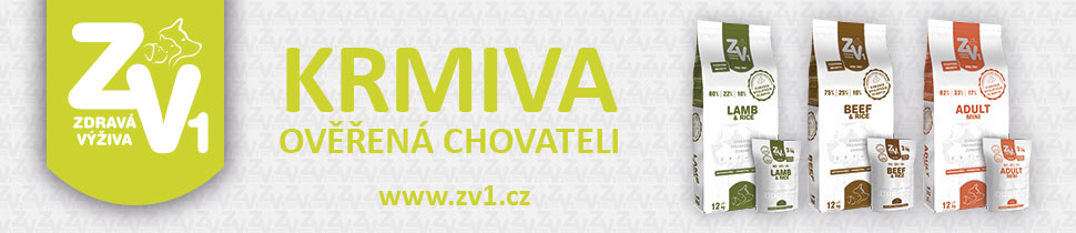 zv1_banner.jpg